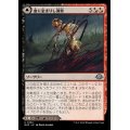 (FOIL)血に染まりし洞察/Bloodsoaked Insight《日本語》【MH3】