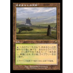 画像1: (FOIL)(旧枠仕様)吹きさらしの荒野/Windswept Heath《日本語》【MH3】