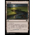 (FOIL)汚染地帯/Contaminated Landscape《日本語》【MH3】