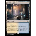 [EX](FOIL)行き届いた書庫/Meticulous Archive《日本語》【MKM】