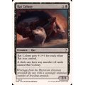 ネズミの群棲/Rat Colony《英語》【Reprint Cards(Mystery Booster2)】