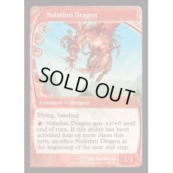 画像1: (FOIL)ナラスニ・ドラゴン/Nalathni Dragon《英語》【Reprint Cards(Mystery Booster2)】