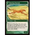 狩りをする豹/Hunting Cheetah《英語》【Reprint Cards(Mystery Booster2)】