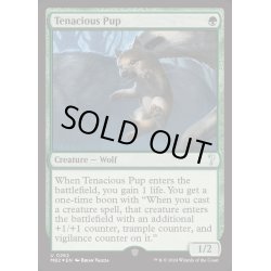 画像1: (FOIL)執拗な仔狼/Tenacious Pup《英語》【Reprint Cards(Mystery Booster2)】