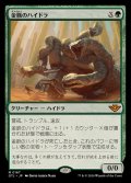 金脈のハイドラ/Goldvein Hydra《日本語》【OTJ】