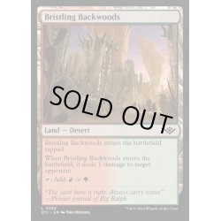 画像1: [EX+](FOIL)逆棘の辺境林/Bristling Backwoods《英語》【OTJ】