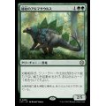 秘紋のアルマサウルス/Runic Armasaur《日本語》【LCC】