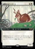 (FOIL)(フルアート)威厳あるバニコーン/Regal Bunnicorn《日本語》【WOE】