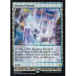 画像1: [EX+](FOIL)溢れかえる岸辺/Flooded Strand《英語》【EXP】