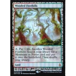 画像1: [EX](FOIL)樹木茂る山麓/Wooded Foothills《英語》【EXP】