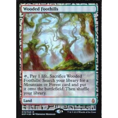 [EX+](FOIL)樹木茂る山麓/Wooded Foothills《英語》【EXP】