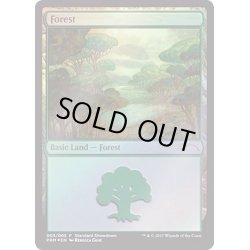 画像1: [EX+](FOIL)森/Forest《英語》【Showdown】