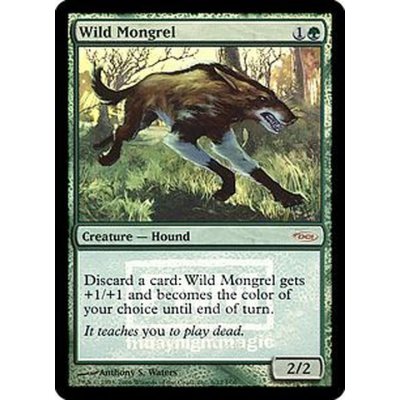 [EX+](FOIL)野生の雑種犬/Wild Mongrel《英語》【FNM Promos】