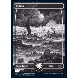 画像1: (FOIL)(408)平地/Plains《英語》【VOW】