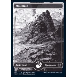 画像1: [EX+](FOIL)(411)山/Mountain《英語》【VOW】