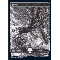 画像1: (FOIL)(412)森/Forest《英語》【VOW】