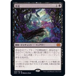 画像1: (FOIL)苦花/Bitterblossom《日本語》【2X2】