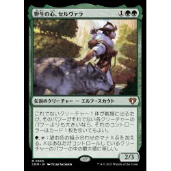 画像1: [EX](FOIL)野生の心、セルヴァラ/Selvala, Heart of the Wilds《日本語》【CMM】