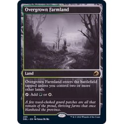 画像1: (FOIL)草茂る農地/Overgrown Farmland《英語》【DBL】