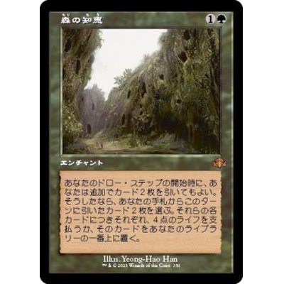 (FOIL)(旧枠仕様)森の知恵/Sylvan Library《日本語》【DMR】