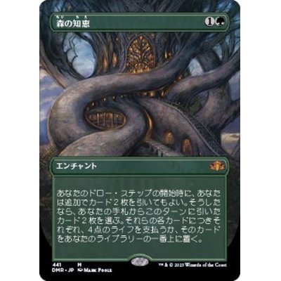 [EX+](FOIL)(フルアート)森の知恵/Sylvan Library《日本語》【DMR】