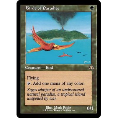 (FOIL)(旧枠仕様)極楽鳥/Birds of Paradise《英語》【DMR】