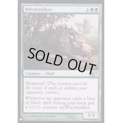 画像1: 魔女跡追い/Witchstalker《英語》【Reprint Cards(The List)】