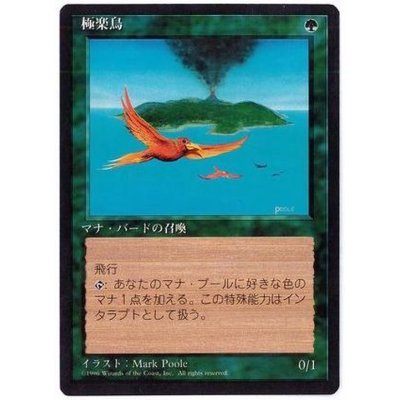 [EX](黒枠)極楽鳥/Birds of Paradise《日本語》【4ED】