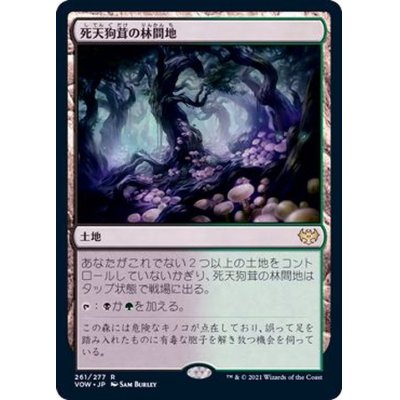 (FOIL)死天狗茸の林間地/Deathcap Glade《日本語》【VOW】