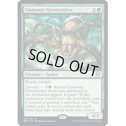 画像1: ラノワールの緑後家蜘蛛/Llanowar Greenwidow《英語》【DMU】