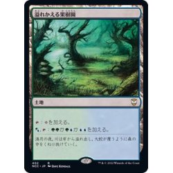 画像1: 溢れかえる果樹園/Flooded Grove《日本語》【NCC】