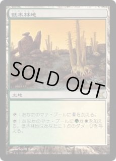 低木林地/Brushland - カードラッシュ[MTG]