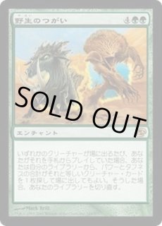 Mtg モダン パック別 カードラッシュ Mtg Page 212