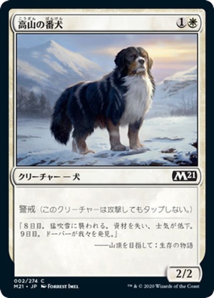 画像1: 高山の番犬/Alpine Watchdog《日本語》【M21】 (1)