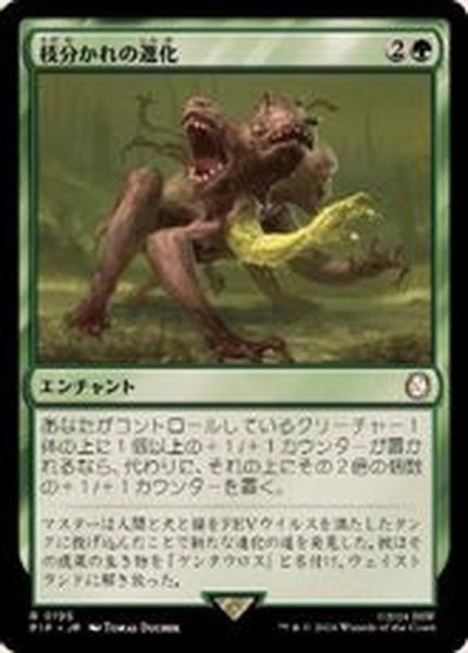 画像1: (FOIL)枝分かれの進化/Branching Evolution《日本語》【PIP】 (1)