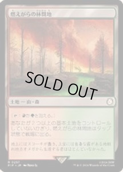 画像1: [EX+](サージFOIL)燃えがらの林間地/Cinder Glade《日本語》【PIP】 (1)