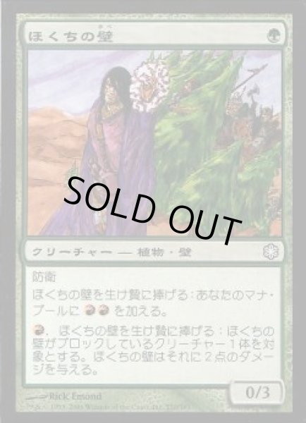 画像1: [EX+]ほくちの壁/Tinder Wall《日本語》【Coldsnap Theme Deck Reprints】 (1)