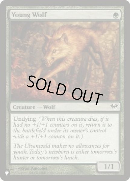 画像1: 若き狼/Young Wolf《英語》【Reprint Cards(The List)】 (1)