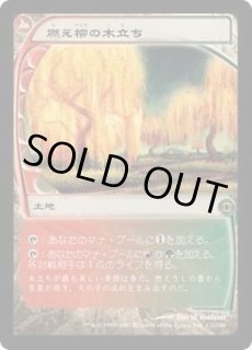 燃え柳の木立ち - カードラッシュ[MTG]