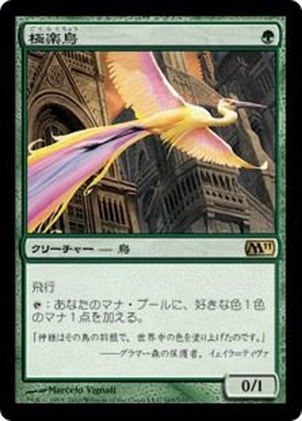 画像1: [EX]極楽鳥/Birds of Paradise《日本語》【M11】 (1)