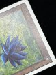 画像8: [PLD]Black Lotus《英語》【2ED】#237 (8)