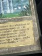 画像10: [PLD]The Tabernacle at Pendrell Vale《イタリア語》【LEG】#247 (10)