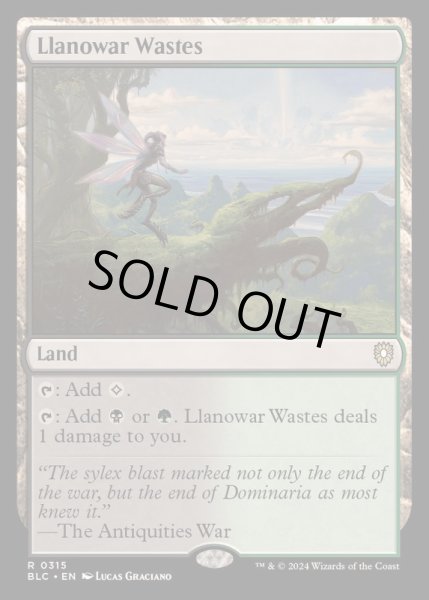 画像1: [EX+]ラノワールの荒原/Llanowar Wastes《英語》【BLC】 (1)