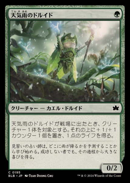 画像1: (FOIL)天気雨のドルイド/Sunshower Druid《日本語》【BLB】 (1)