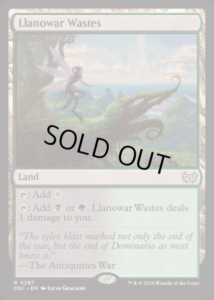 画像1: ラノワールの荒原/Llanowar Wastes《英語》【DSC】 (1)