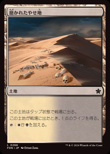 画像1: (FOIL)磨かれたやせ地/Scoured Barrens《日本語》【FDN】 (1)