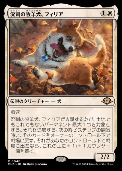 画像1: (FOIL)溌剌の牧羊犬、フィリア/Phelia, Exuberant Shepherd《日本語》【MH3】 (1)