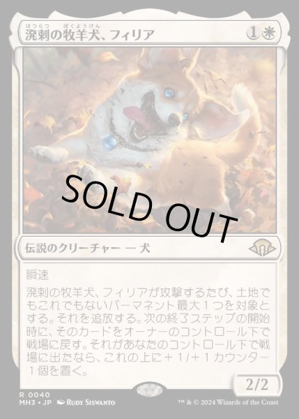 画像1: [EX](FOIL)溌剌の牧羊犬、フィリア/Phelia, Exuberant Shepherd《日本語》【MH3】 (1)