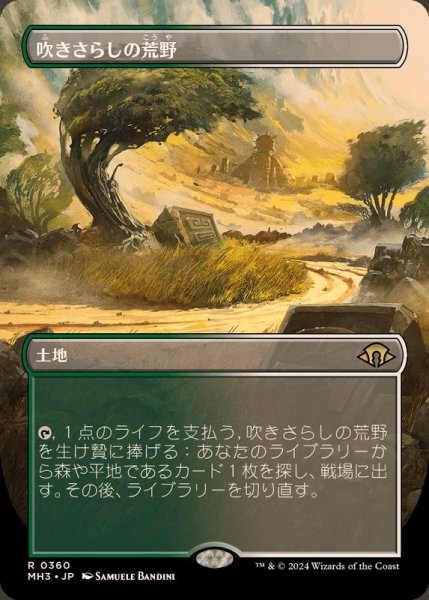 画像1: [EX+](FOIL)(フルアート)(0360)吹きさらしの荒野/Windswept Heath《日本語》【MH3】 (1)