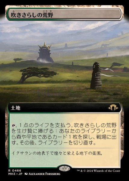 画像1: (FOIL)(フルアート)(0466)吹きさらしの荒野/Windswept Heath《日本語》【MH3】 (1)